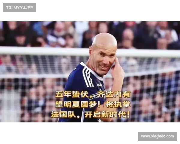 从巅峰到传奇全面解析齐达内辉煌生涯的经典时刻